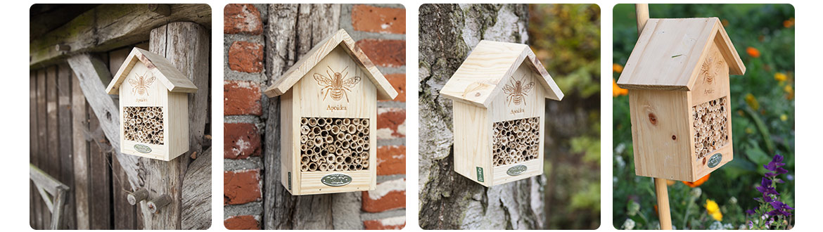 Nido Per Uccellini Desert Dream Assortito - Foto 4